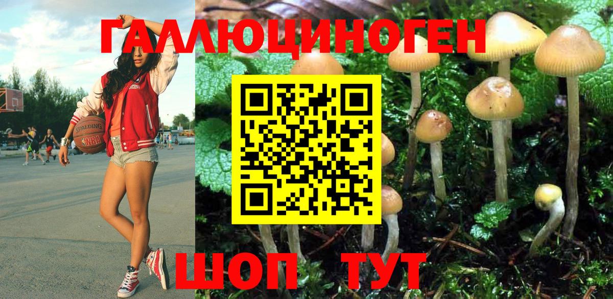 Галлюциногенные грибы Psilocybine cubensis  Вход с VPN  купить  сайты  Сертолово 