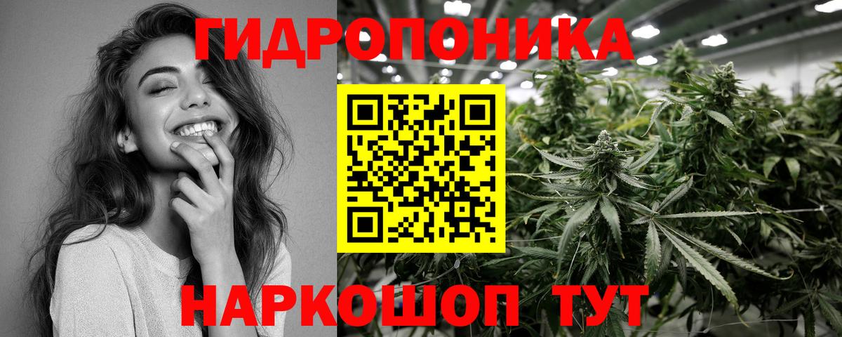 Бошки марихуана AK-47  Каннабис семена  Вход с VPN  Бошки Шишки White Widow  Канабис THC 21%  Сертолово 